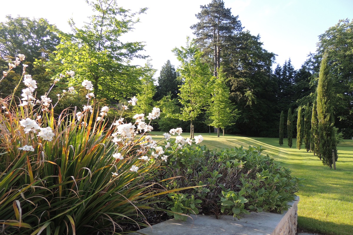 Ludshott Landscape Design 35